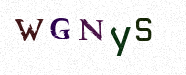 Visual Confirmation Security Code